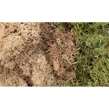 All Game Terrain 6500 Winter Mix EZ Bushes Wargaming Miniature Base Terrain & Diorama
