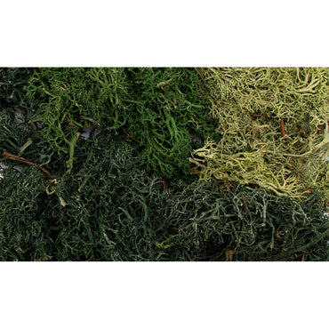 All Game Terrain 6501 Summer Mix EZ Bushes Wargaming Miniature Base Terrain & Diorama