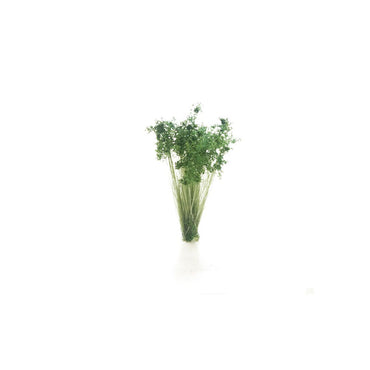 All Game Terrain 6632 Dark Green Shrubs Tufts Wargaming Miniature Base Terrain & Diorama