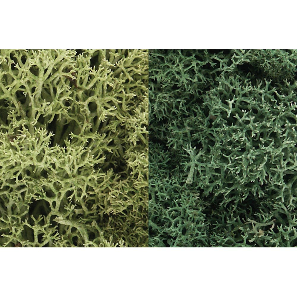 Woodland Scenics L167 Light Green Mix Lichen
